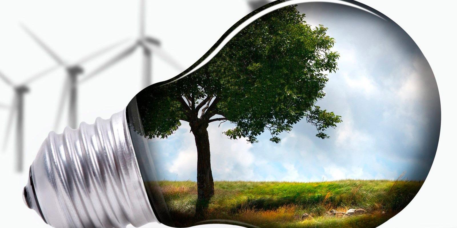 ТОП 5 специальностей в сфере экологии