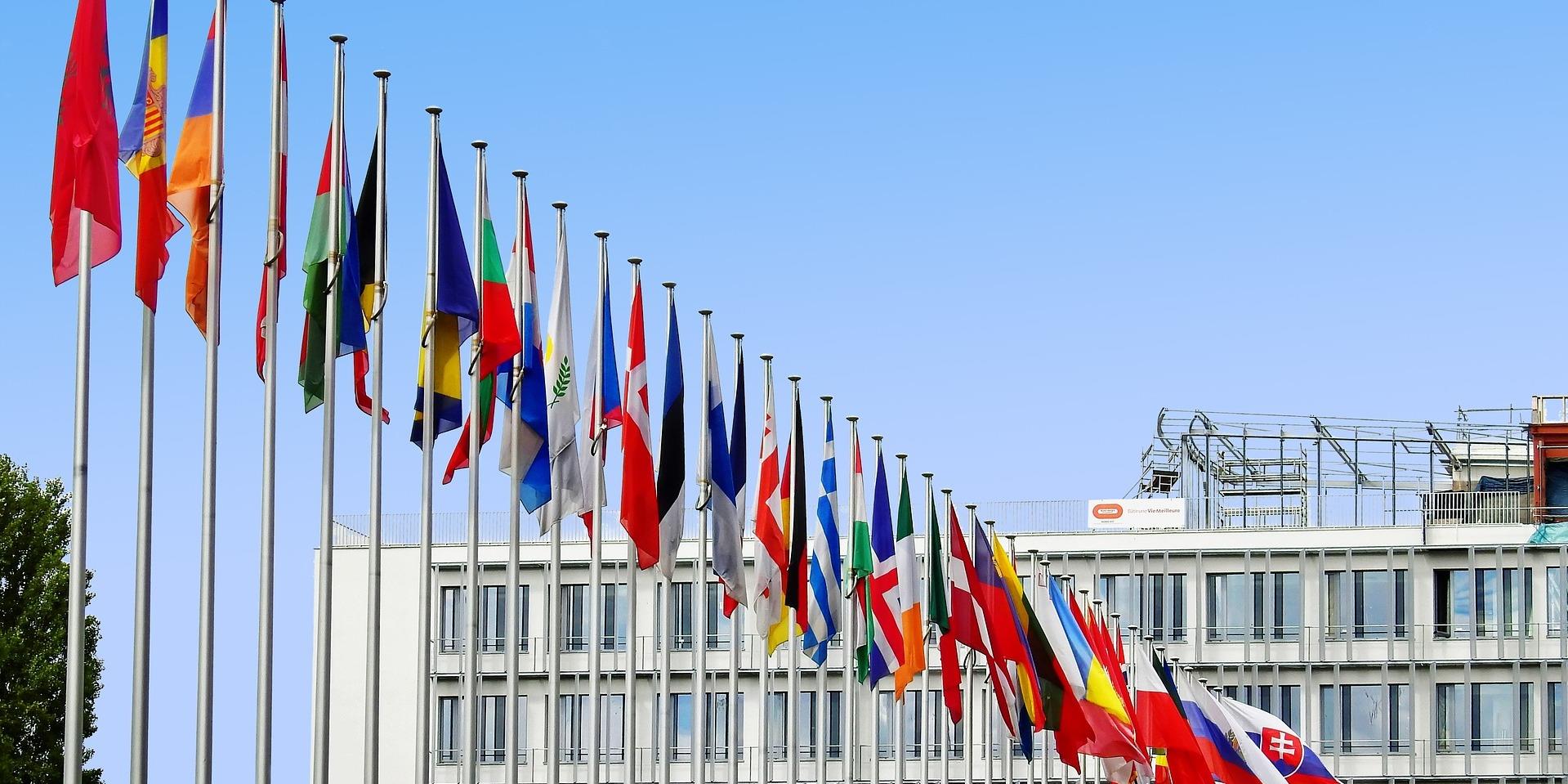 Круглый стол "Европейское образование - шаг в твое профессиональное будущее "