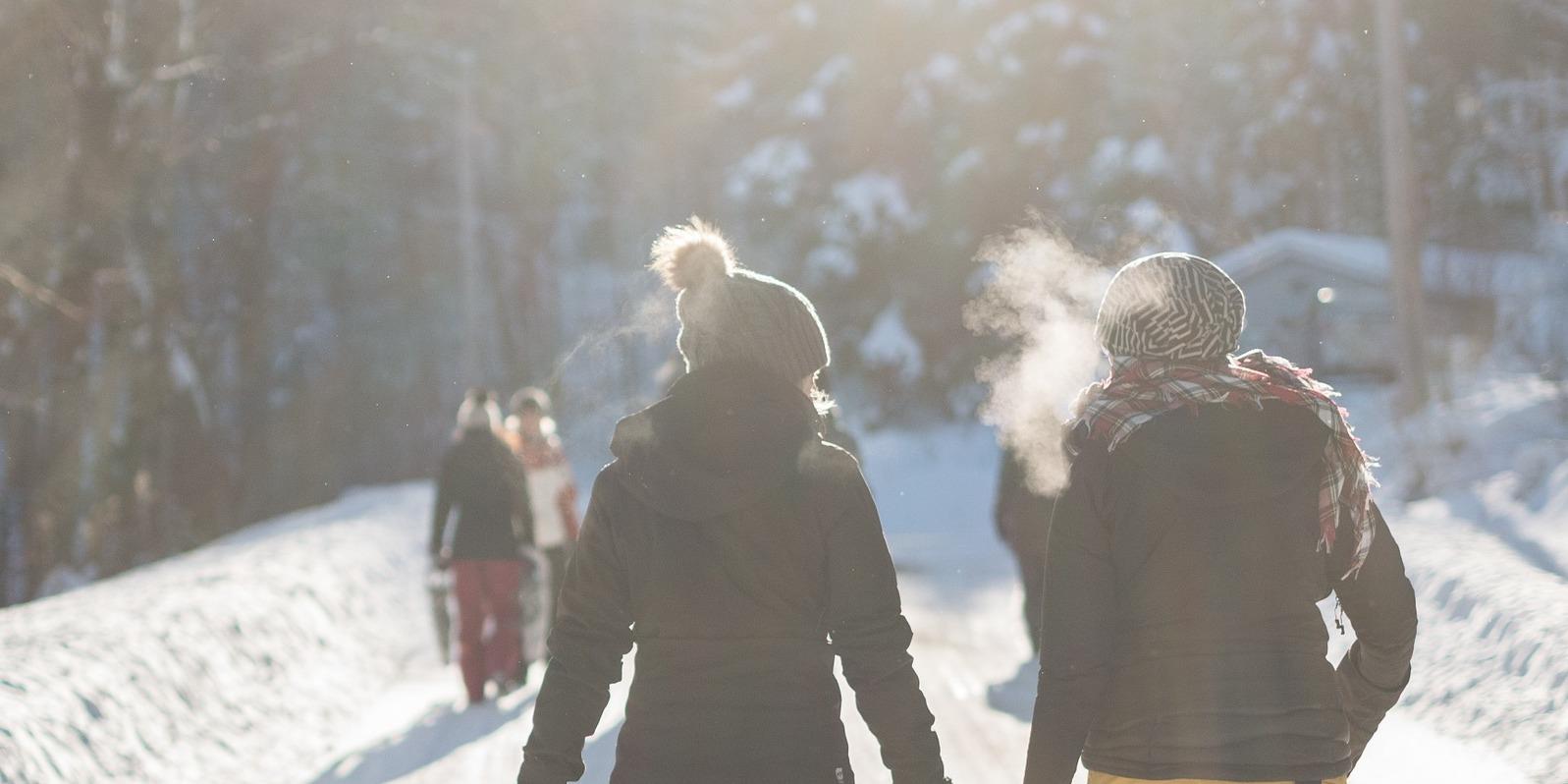 Объявлена регистрация на участие в Зимней Языковой Школе "Eurolider - 2014"