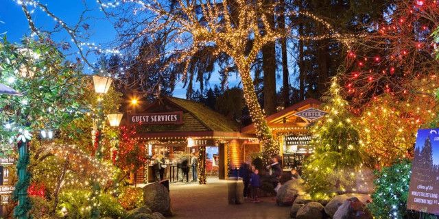 Зимовий інтенсивний курс англійської у Ванкувері (КАНАДА) - 2019 фото