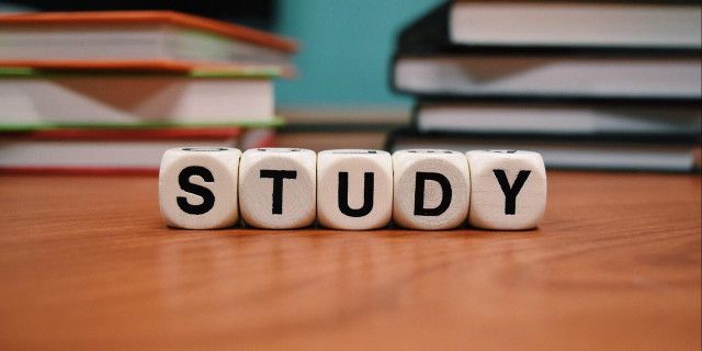 Проект "Освіта без кордонів" проводить набір на курси польської мови. фото