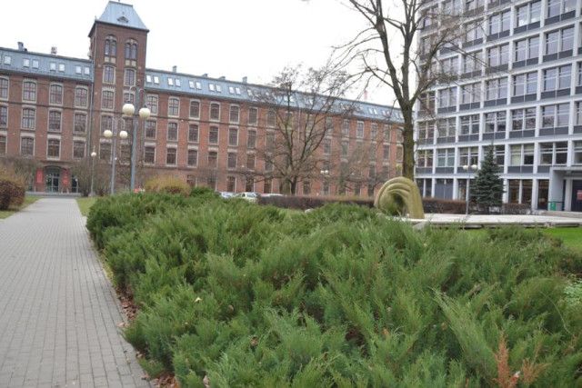 Образовательный визит - 18-23 ноября 2018 - фото 0