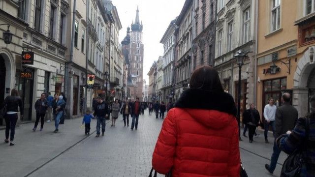 Образовательный ознакомительный визит - 2017 - фото 0