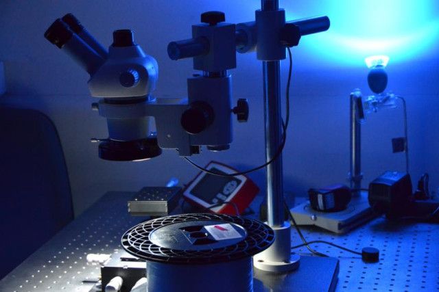 Образовательный визит - 18-23 ноября 2018 - фото 0