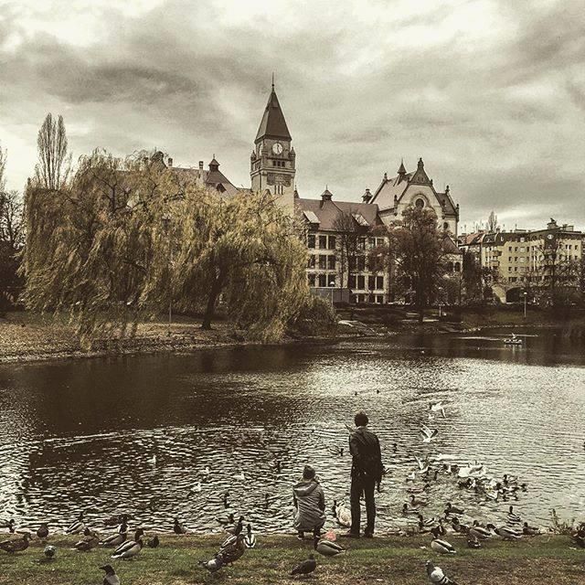 Вроцлавская Политехника - фото 6