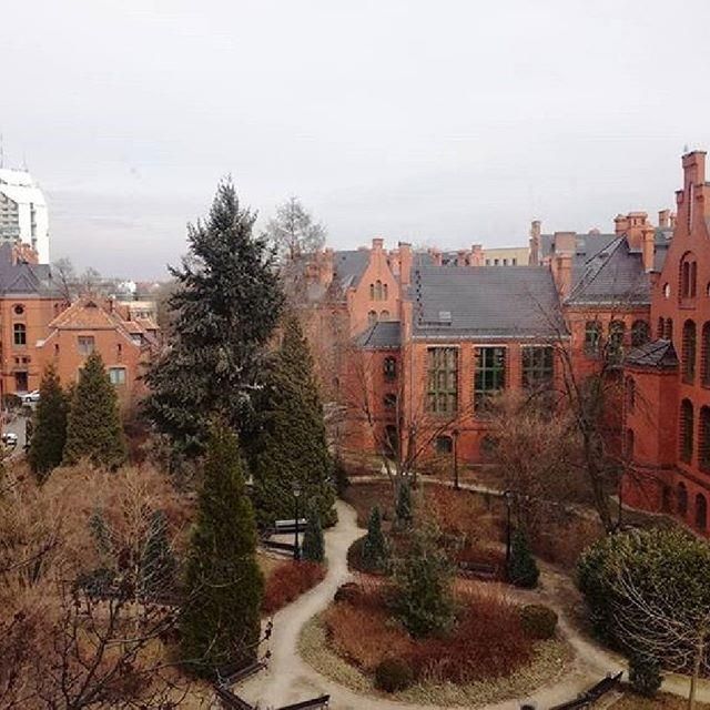 Вроцлавский Медицинский Университет - фото 2