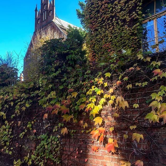 Вроцлавский Медицинский Университет - фото 9