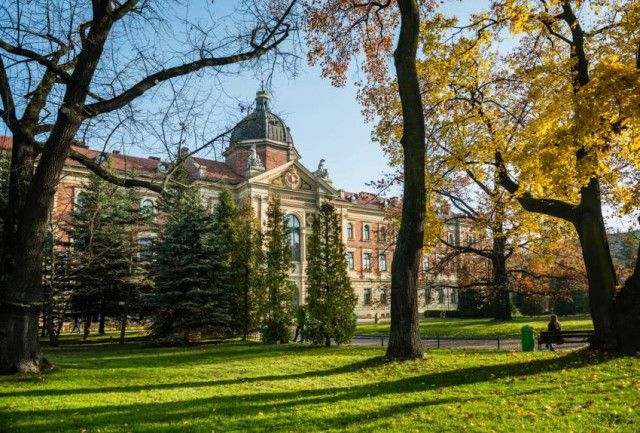 Краковский Экономический Университет - фото 17