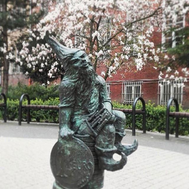 Вроцлавский Экономический Университет - фото 5