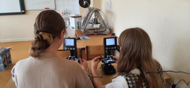 Общеобразовательный лицей №15 во Вроцлаве - фото 11