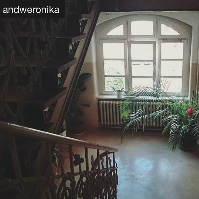 Вроцлавский Экономический Университет - фото 8