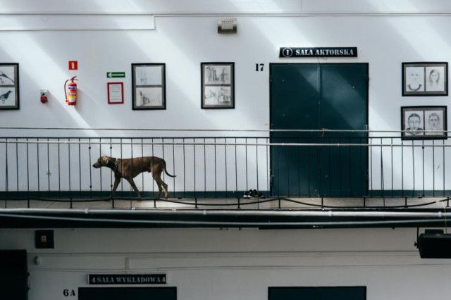 Университет Киноискусства в Варшаве - фото 5