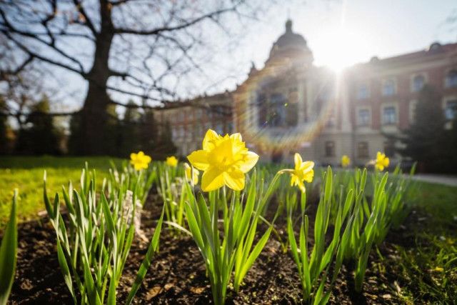Краковский Экономический Университет - фото 4