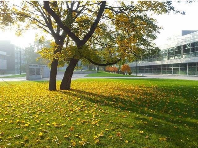 Вроцлавская Политехника - фото 7