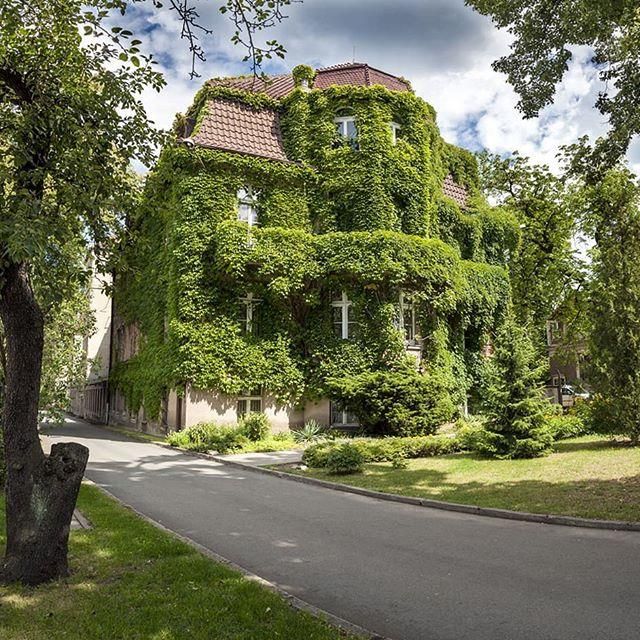 Вроцлавский Медицинский Университет - фото 3