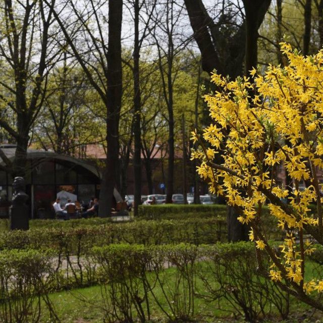 Краковская Политехника - фото 5