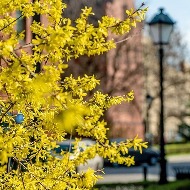Вроцлавский Медицинский Университет - фото 4