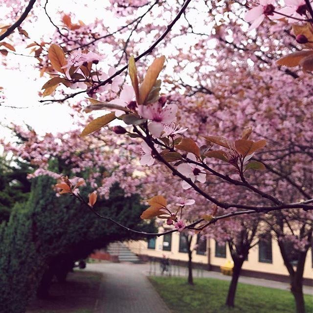 Вроцлавский Экономический Университет - фото 1