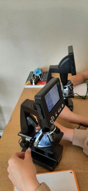 Общеобразовательный лицей №15 во Вроцлаве - фото 12