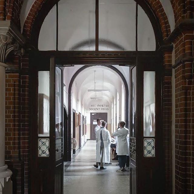 Вроцлавский Медицинский Университет - фото 7