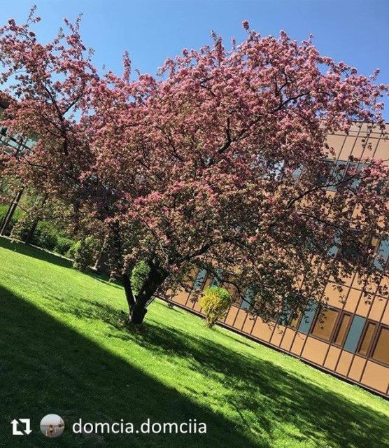 Краковская Политехника - фото 3