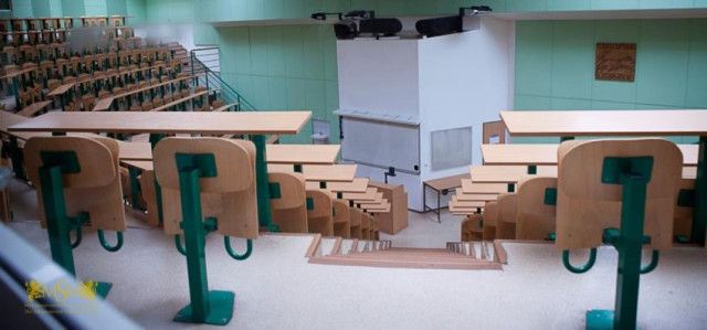 Академия MSM - фото 12