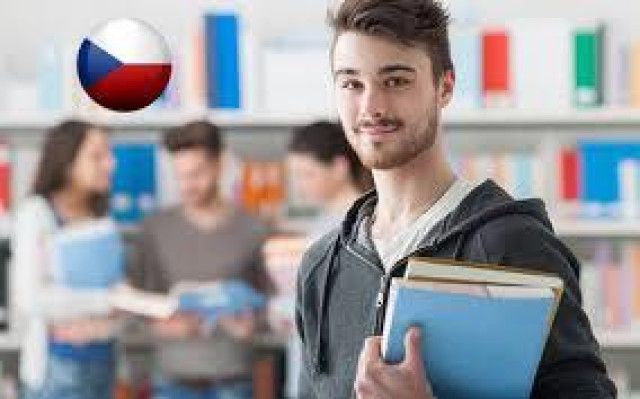 Академия MSM - фото 7