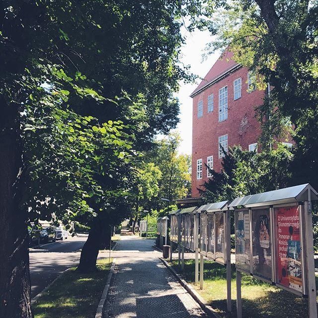Вроцлавский Экономический Университет - фото 7