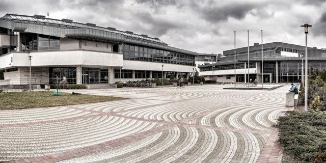 Естественно-гуманитарный университет в Седльце