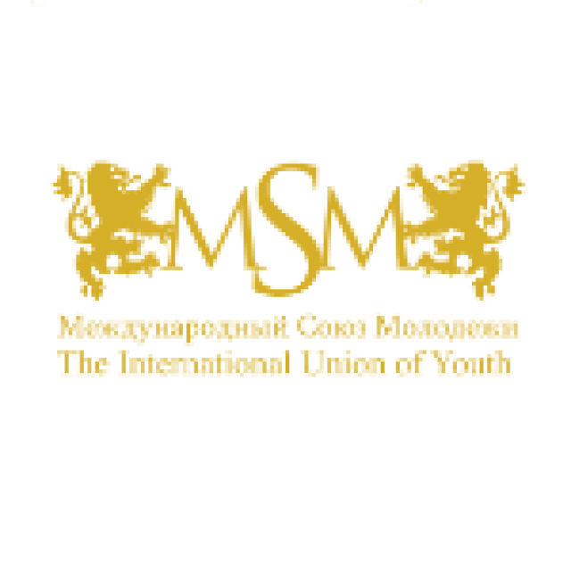 Лого Академия MSM